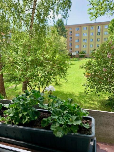 Apartman Snyt Primka Olomouc Exterior photo